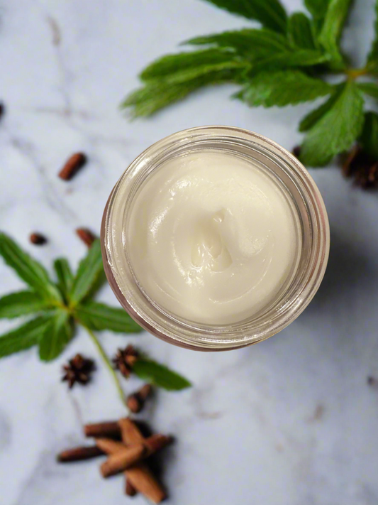 HunnyBee Healing Antibiotic Wound Salve